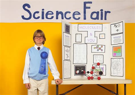 Science Project Poster Board Ideas