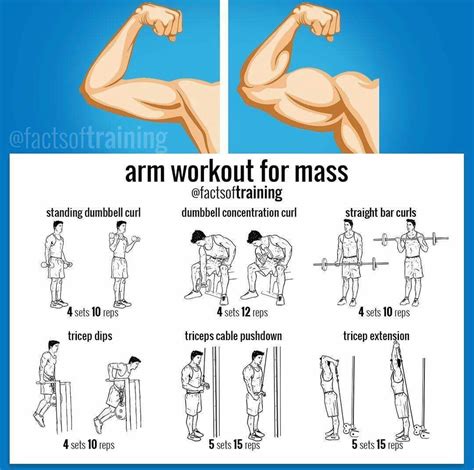 Powerful arms | Rutinas de entrenamiento, Ejercicios para brazos, Ejercicio para hombres