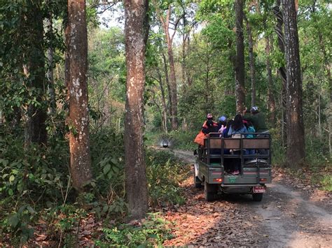 Should You Visit Chitwan National Park? - 5 Lost Together