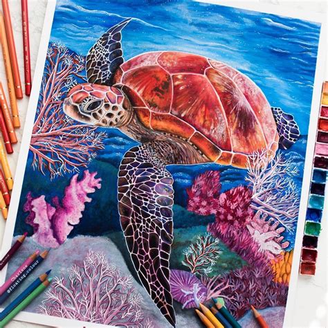 Pin by Kj Barber on Casa Tortuga Feliz | Turtle drawing, Sea turtle art ...