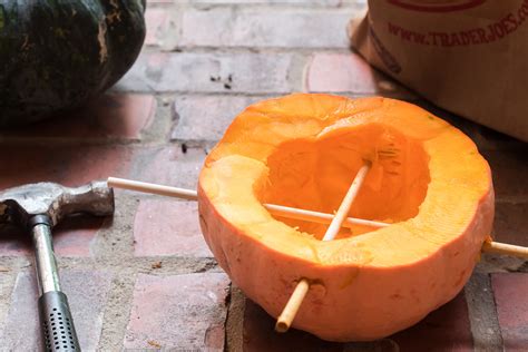 Easy DIY Pumpkin Bird Feeder | Perfect Family Activity