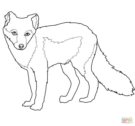 Arctic Fox Summer Coat coloring page | Free Printable Coloring Pages