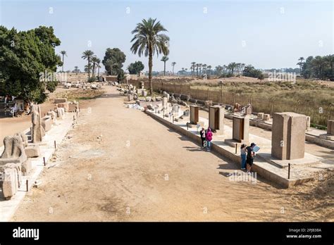 The open air museum of ancient Egyptian ruins and artefacts at Memphis ...