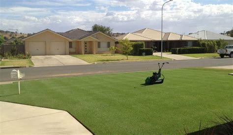 Tips for Mowing Buffalo Grass Lawn - Yard Floor