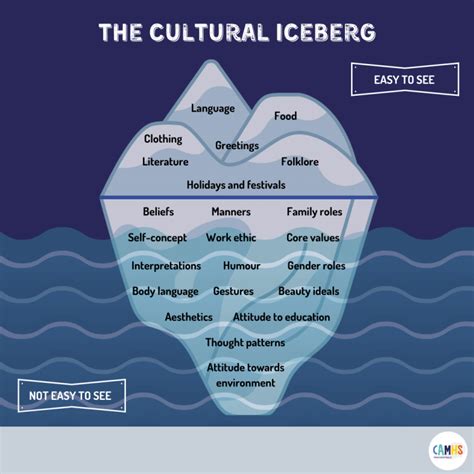 THE CULTURAL ICEBERG ? – CAMHS Professionals