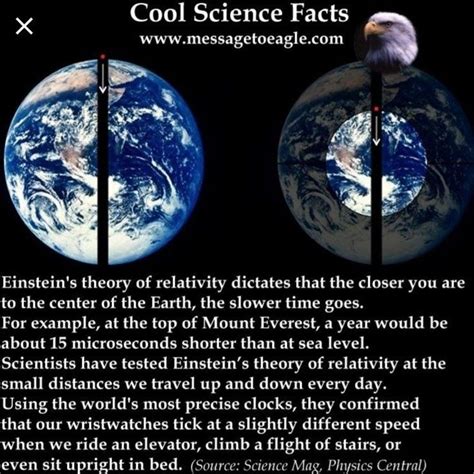 Earth Science Facts Life Science | Cool science facts, Astronomy facts ...