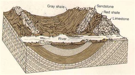 Anticline