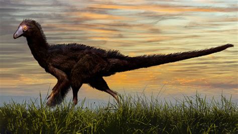 New Species of Theropod Dinosaur Identified in China | Sci.News