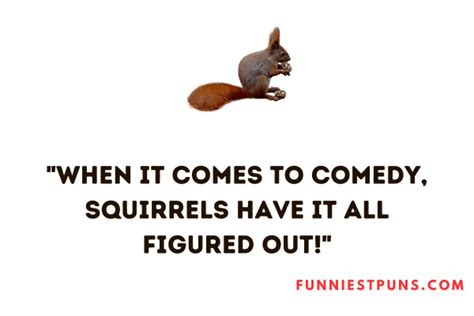 160+ Funny Squirrel Puns And Jokes for Hilarious Moments!