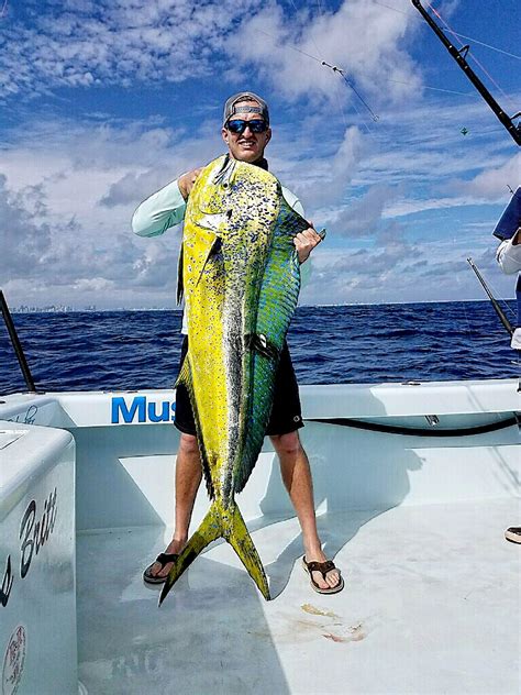 Miami Dolphin Charters | Mahi Mahi Fishing Miami