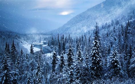 winter, Nature, Snow, Beautiful, Lovely, Landscape, Landscapes ...