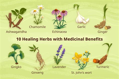 Health Benefits of 10 Healing Herbs