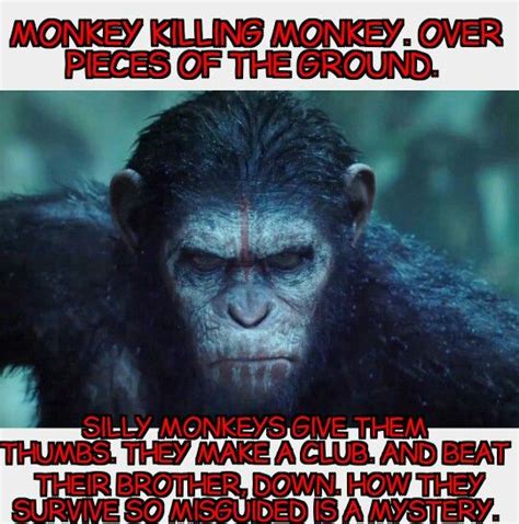 Pin by Kelli Calcagno on Tool | Tool lyrics, Tool music, Monkeys funny