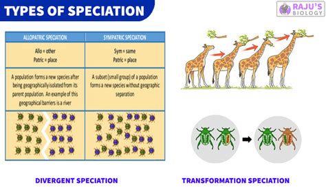 Speciation and its types | Evolution Class 12 Notes - Rajus Biology