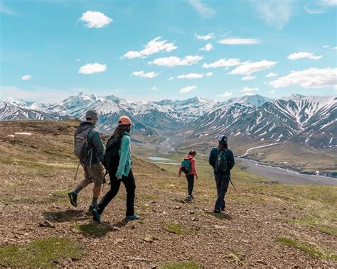 Denali National Park: Ultimate Guide to Hiking, Camping, and Wildlife Viewing • Nomads With A ...