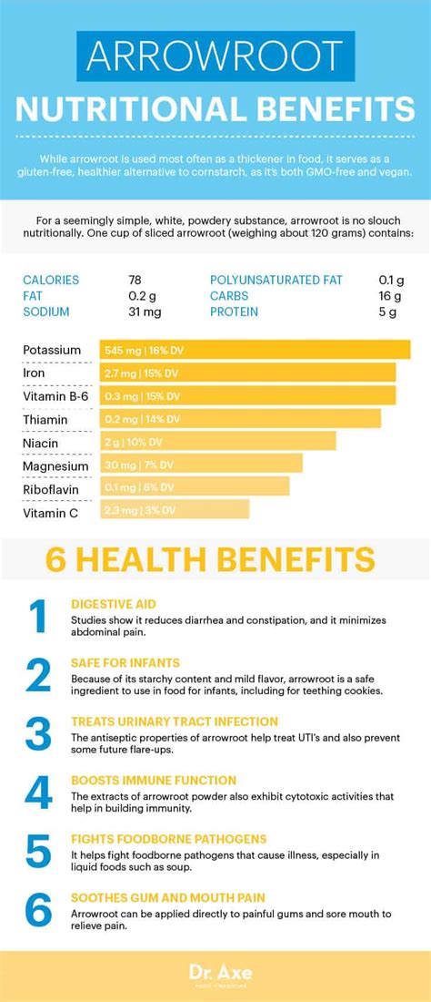 Boost Immunity & Soothe Digestion with Arrowroot - Dr. Axe