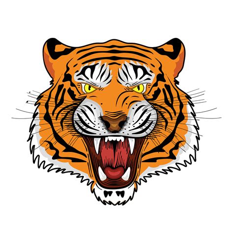 Download Tiger, Royal Bengal Tiger, Tiger Face. Royalty-Free Stock ...