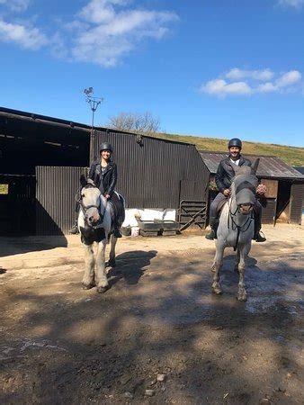 Cholwell Riding Stables (Mary Tavy) - 2019 All You Need to Know BEFORE You Go (with Photos ...