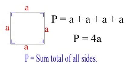 How to Calculate the Perimeter of a Square? - Assignment Point