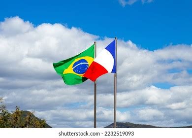 207 France Brazil Relations Images, Stock Photos & Vectors | Shutterstock