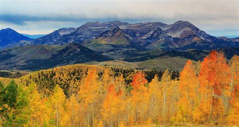 The Mt Timpanogos hike is often covered in beautiful wildflowers. Choose between… | Scenic drive ...