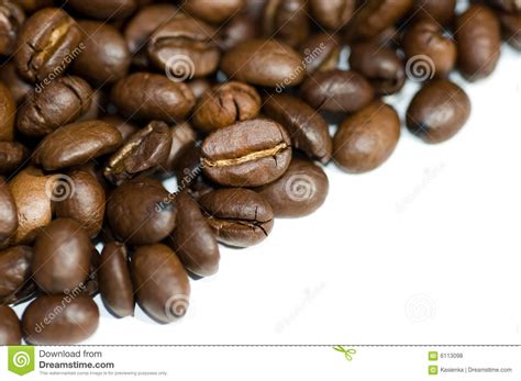 Close Up Coffee Beans Isolated Stock Photo - Image of delicious ...