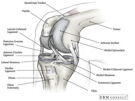 Posterior Sag Test