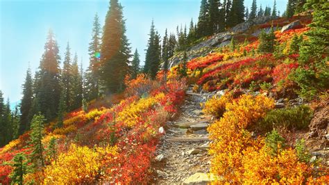 Northwest hiking trails that celebrate the splendor of Fall | king5.com
