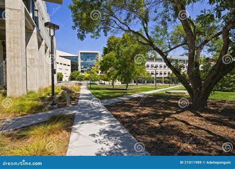 Campus, UC San Diego editorial stock image. Image of ucsd - 21011989