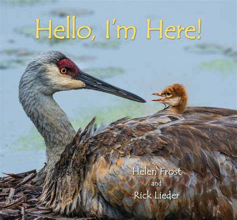 Hello, I’m Here! – Granite Media