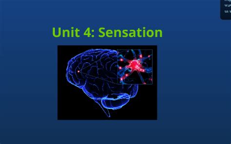 AP Psychology Unit 4: Sensation by Hannah Anderson