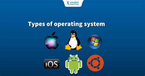 Types Of Operating System Software