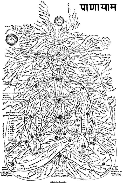 Ayurveda and Subtle (Astral) Body Anatomy: The 72,000 Nadis of the ...