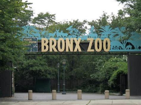 Bronx_Zoo - Travel BLAT