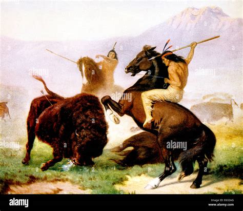 How The Near Extermination Of Buffalo Herds Impacted Plains Indians – Robert Walker Info