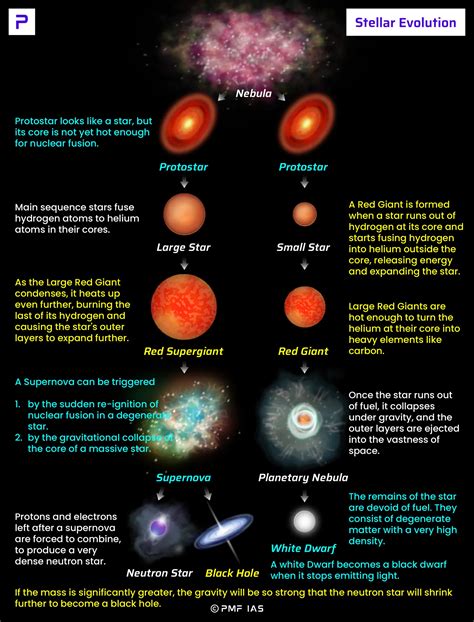 Star Formation Stellar Evolution Life Cycle Of A Star - vrogue.co