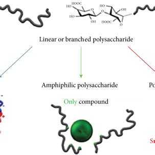 Diagramatic representation of formation of polysaccharide-based ...