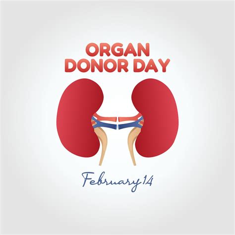 vector graphic of organ donor day good for national organ donor day ...