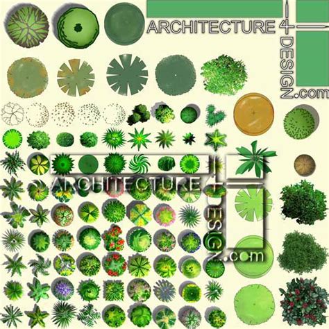 200 trees plan for architectural Photoshop rendering (PSD format) | Architecture for Design