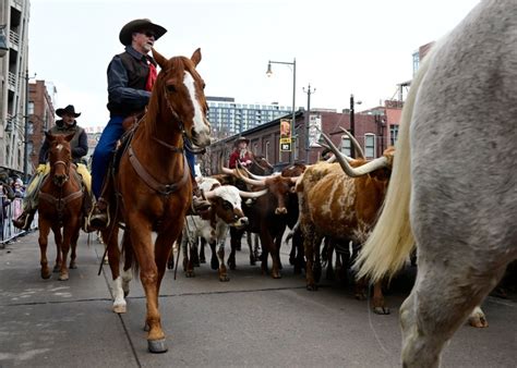 Photos: National Western Stock Show Parade 2023 in downtown Denver