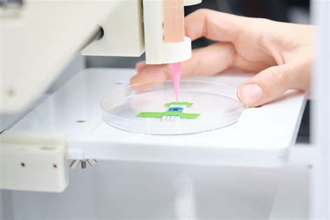 Core-Shell Bioprinting Enables Fine-Tuning the Microenvironment