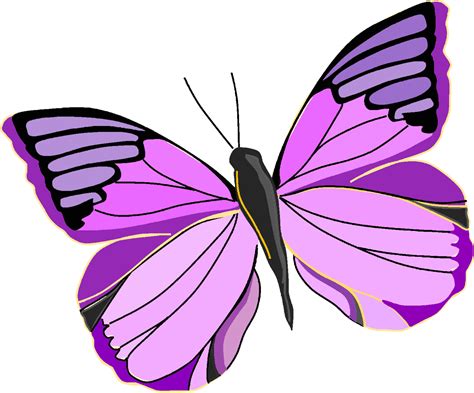 Watercolor purple butterfly clipart isolated on white background - Clip Art Library