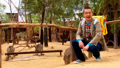 Mister Maker Around The World - Episode 7 : ABC iview