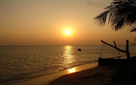 Palm tree silhouette, Thailand, sunset, beach, landscape HD wallpaper ...