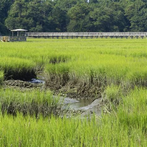 garden-city - South Carolina Beaches