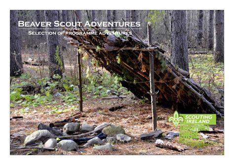 Beaver Scout Adventures by Scouting Ireland - Issuu