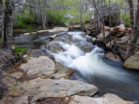 Cuyamaca Rancho State Park | Backcountry Post