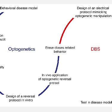 Blueprint of translation of optogenetic approaches into novel protocols ...