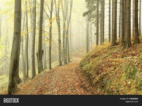 Mountain Trail Misty Image & Photo (Free Trial) | Bigstock