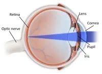 Eye Diagram - American Academy of Ophthalmology